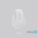 Rexus Mouse Vertical Wireless Clif - White